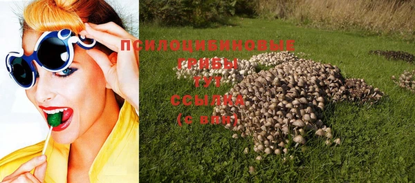 сатива Волоколамск