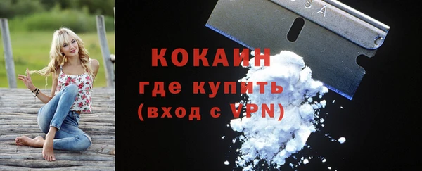 сатива Волоколамск