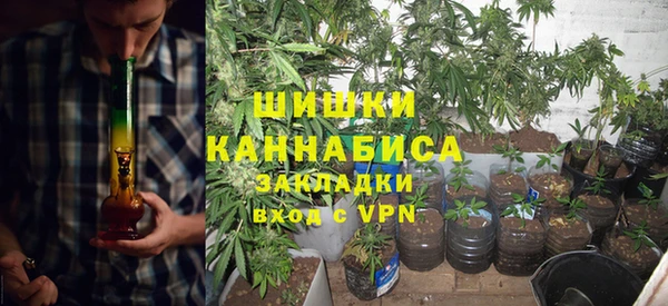 сатива Волоколамск