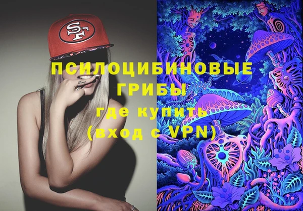 первитин Володарск