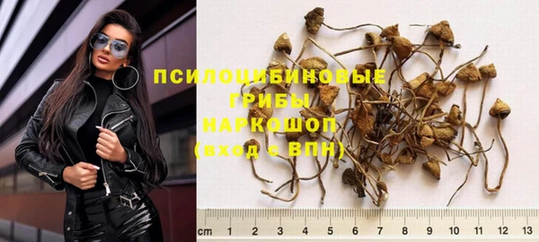 сатива Волоколамск