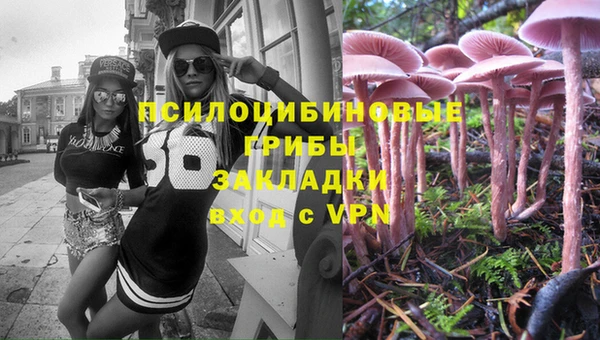сатива Волоколамск