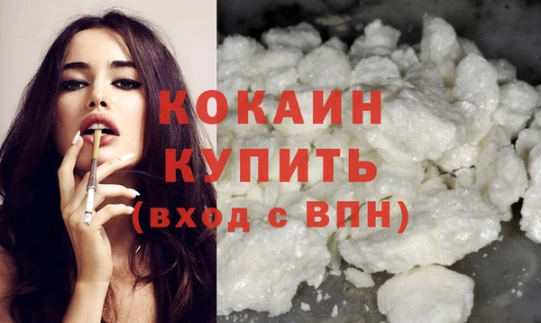 сатива Волоколамск