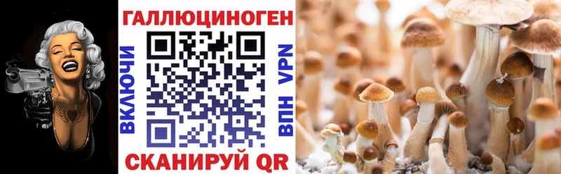Псилоцибиновые грибы мицелий  Инта 